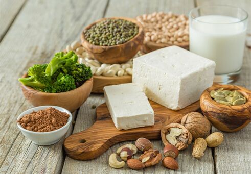 foods allowed in the protein diet